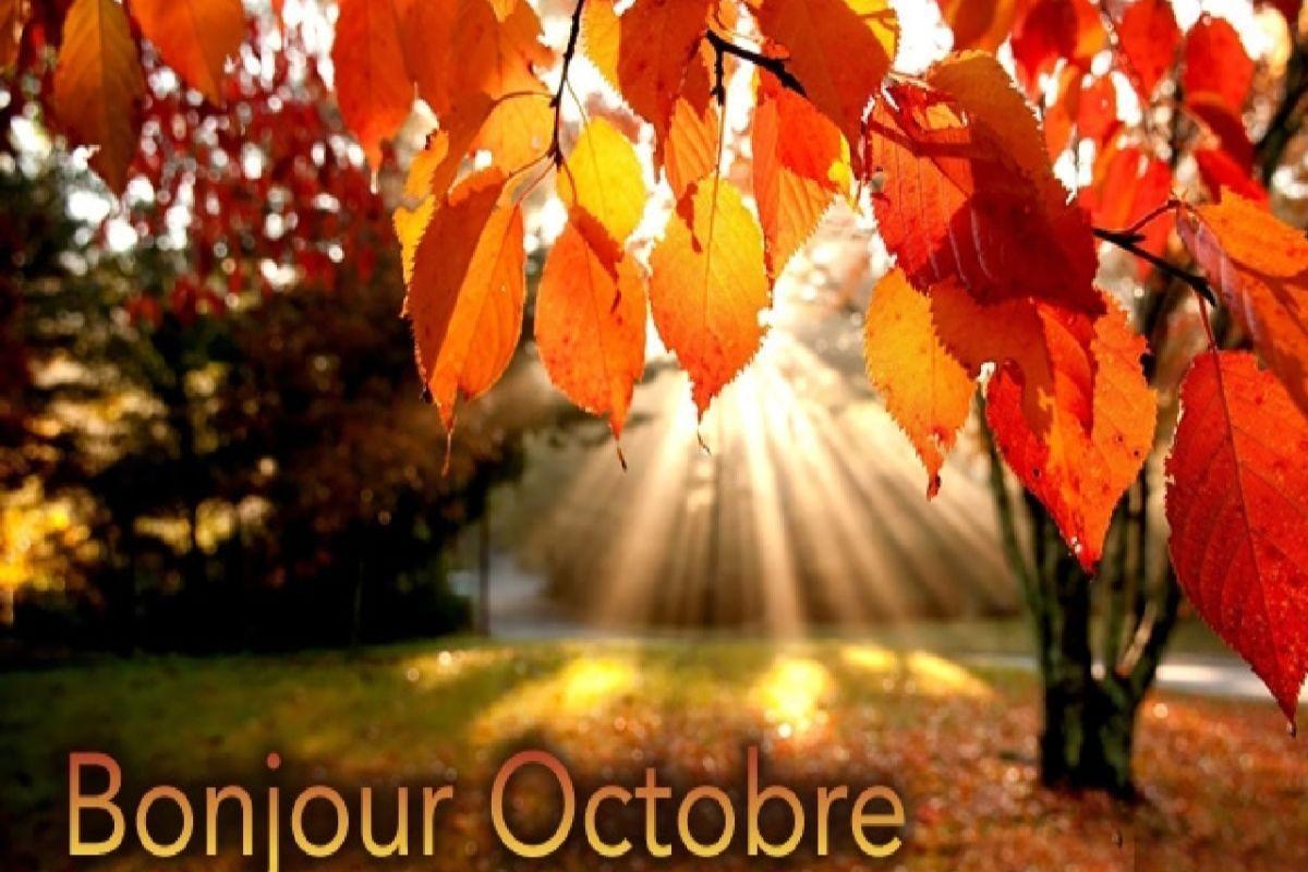 Mois d'Octobre