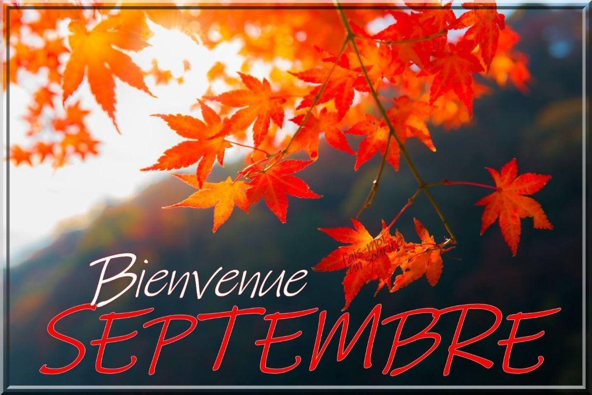 Voici l'automne